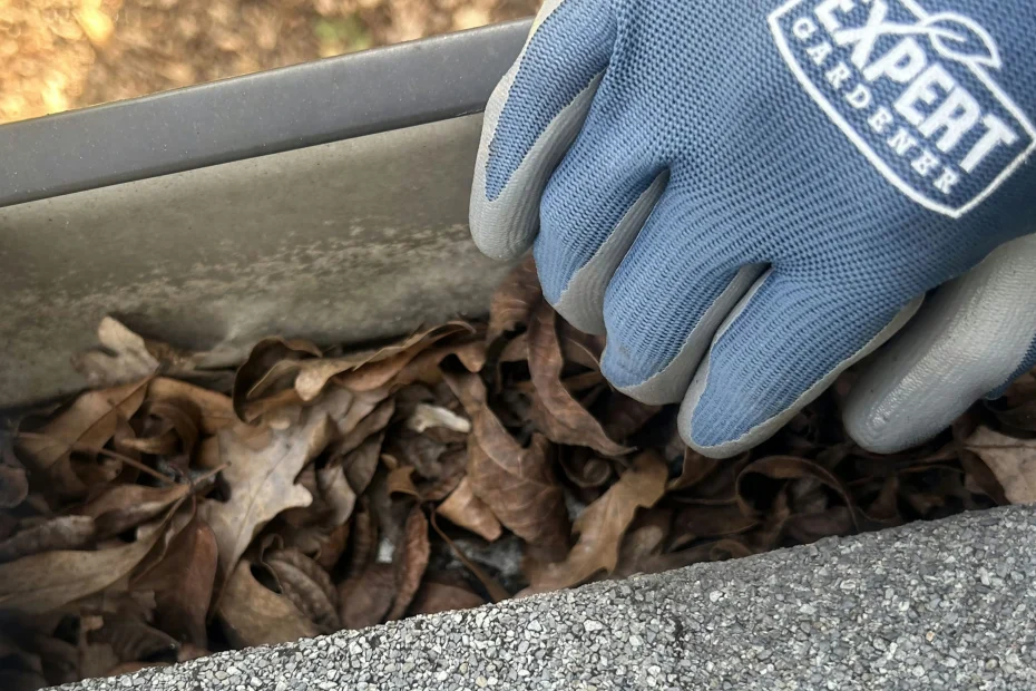 Gutter Cleaning New Hopewell