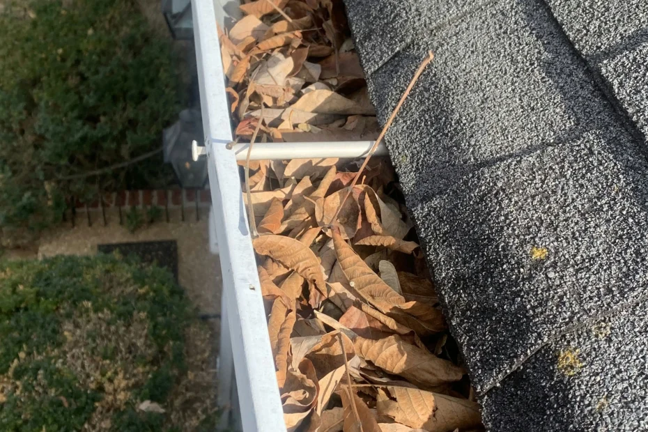 Gutter Cleaning New Hopewell